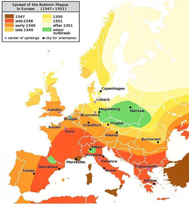 90079817_239367067198172_3523319143589740544_n